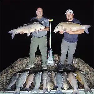 Goldline Bowfishing bowfishing photo