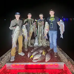 Goldline Bowfishing bowfishing photo
