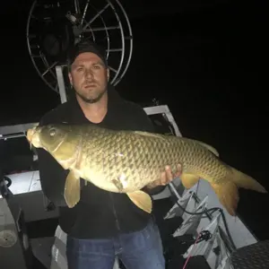 Ramrod Bowfishing bowfishing photo