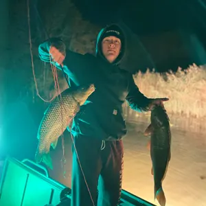 Hydra Bowfishing Guide bowfishing photo