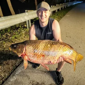 Firehouse Bowfishing bowfishing photo