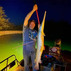 Firehouse Bowfishing bowfishing photo