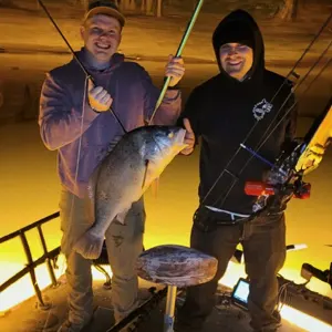 Firehouse Bowfishing bowfishing photo